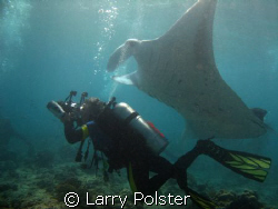 Manta cleaning station  by Larry Polster 